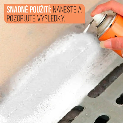 MoldGuard 400 mL – Odstraňuje plíseň a chrání povrchy!